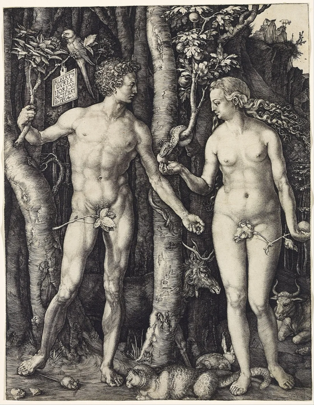 Adam and Eve — Albrecht Dürer