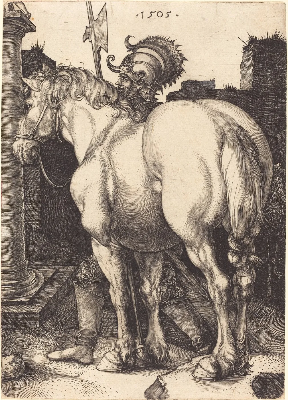 The Large Horse — Albrecht Dürer