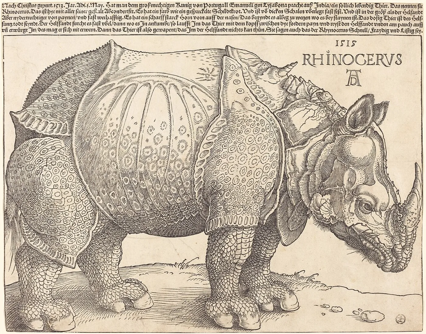 The Rhinoceros — Albrecht Dürer